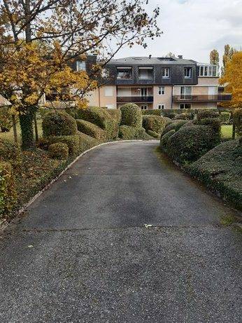 sas-balanche-haies-